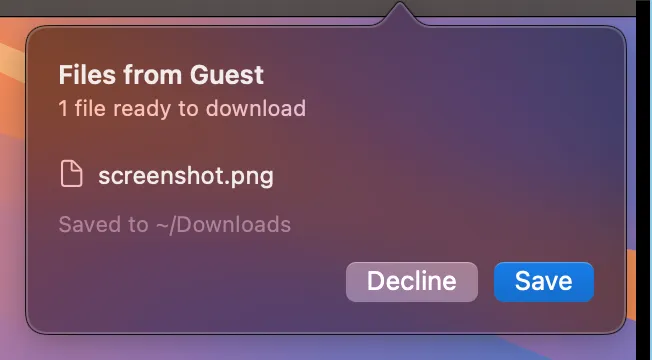 File transfer prompt for guest to host download